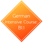 B1.1 Intensive Course - Registration link