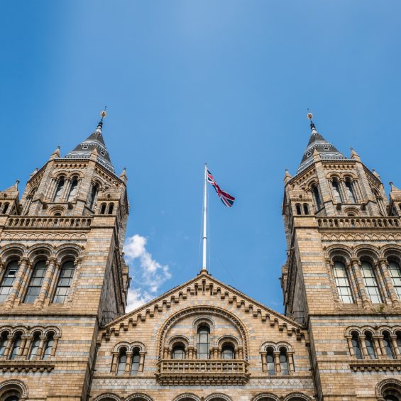 Towers of the Natural History Museum